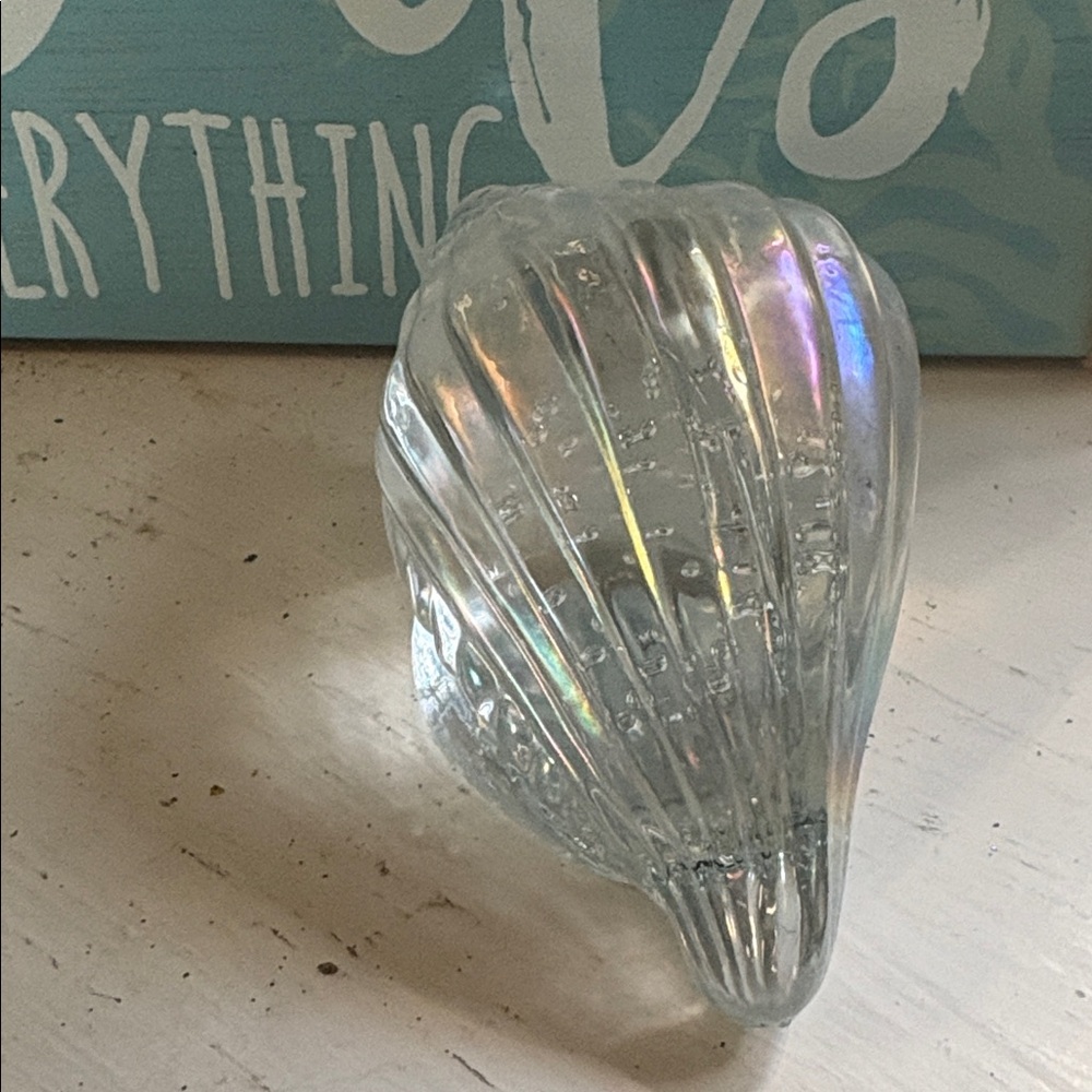 Iridescent Seashell Display - Picture 2 of 5